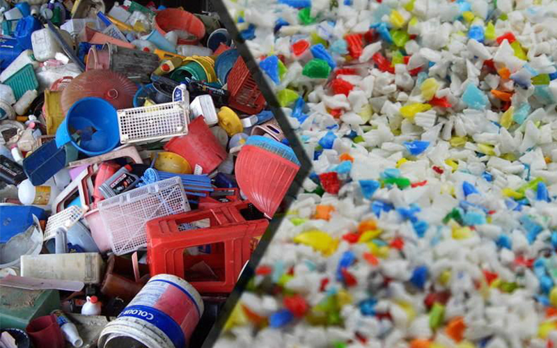 Ever Green Plastic Scrap & Waste